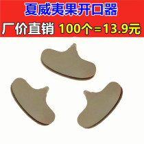 Hawaiian fruit crust opener nut special tool nut shell opener key