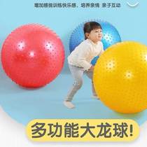Yoga ball childrens sensory training Big Dragon Ball Home adult thick explosion proof fitness ball baby massage balance ball