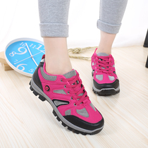 Fall New Climbing Shoes Womens Net Face Breathable Women Shoes Outdoor Sneakers Non-slip Hiking Shoes Climbing Casual Shoes
