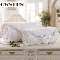 OWNFUN down quilt 95 white goose suede winter by summer cool quilt two-in-one mother and mother to be used in practical four seasons