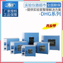 Shanghai DHG-9123A electric blast drying oven laboratory oven industrial oven constant temperature oven