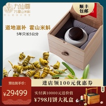  Jiuxianzun authentic 7S Huoshan Dendrobium rice dendrobium Dafeng Doujing dried strips gift box bottled self-service 100 grams non-iron