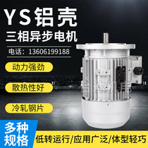 YS three-phase asynchronous motor 180 250 370 550 750W aluminum housing gearbox 220V AC Reducer