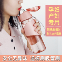 Water cup with straw Adult portable pregnant women special PPSU childrens water cup Womens summer cup Maternal girls cute