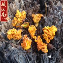 Tibetan specialty Linzhi specialty small golden ear yellow fungus yellow ear brain ear delicious 250g