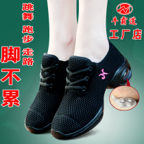 Niu Bingdo Dance Shoes Square Dance Shoes New Summer Dance Shoes Adult Ladies Soft Bottom Mesh Breathable Dance Shoes 5595