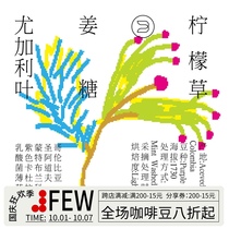 FEW 少数派咖啡哥伦比亚圣乳酸菌薄荷水洗冷泡冰咖啡咖啡豆150g