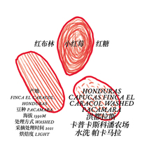 FEW coffee in Honduras kapkasco panong farm washed pakamala hand to make coffee beans