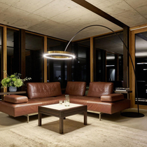 Nordic design sense floor lamp villa compound building light luxury art fishing lamp living room sofa side vertical table lamp