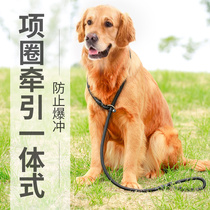 Dog traction rope large dog Small Medium dog telescopic training Teddy golden hair dog bite-resistant P-word dog rope P chain