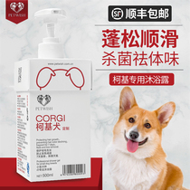 Corgi shower gel Bath products for dogs Special sterilization deodorant fragrance puppy pet Corgi shampoo bath