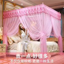 2021 New Princess Wind Landing Style Palace Nets free of installation encrypted thickened mosquito nets Summer home 1 5 m