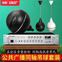 SAST Schenko S5-2 Drop Ball Sound Indoor Restaurant Hanging Bluetooth Ceiling Horn Set Power Amplifier Speaker
