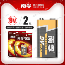 Nanfu 9v alkaline battery 2 grains square square multimeter universal stack 1604s temperature gun nine volts 6f22 stack infrared thermometer special instrument remote control