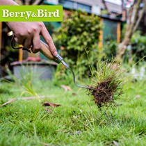 British BerryBird outdoor stainless steel plucking grass mowing weeds planting flowers bb garden gardening tools