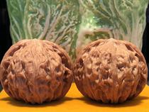 Wenwen Walnut Live Link 10