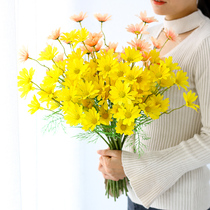 ins foreign chamomile chamomile flower fake flower simulation bouquet living-room adornment swing piece plastic dry flower table furnishing