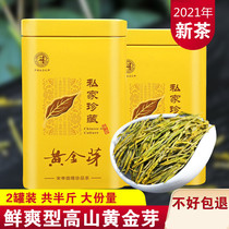 Anji Golden Bud 2021 New Tea Spring Tea Alpine Golden Leaf Premium 250g Iron Canned Green Tea Tea