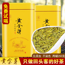 Authentic Anji Golden Sprout White Tea 2021 New Tea Premium Mingqichun Tea Gold Bud Tea 250g Iron Canned Green