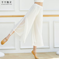 Classical wide-leg pants dance clothing adult female elegant practice clothing body rhyme gauze clothing Chinese modern folk dance net yarn