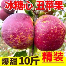 Rock sugar Heart ugly apple fruit Fresh Red Fuji Apple Seasonal fresh fruit