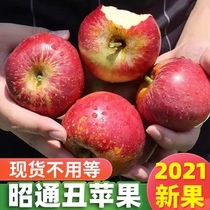 10 kg rock sugar heart Fresh fruit apple Yunnan Zhaotong wild ugly apple