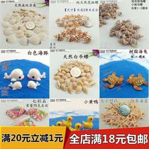 DIY Marine bottle material natural small conch shell wish small starfish dolphin micro landscape landscape decoration ornaments