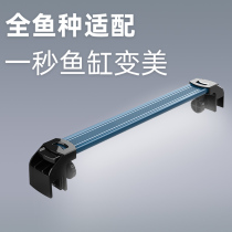 Haduo bear fish cylinder lamp led lighting super bright diving lamp water grass lamp waterproof ACC bracket tube small