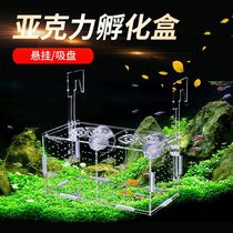 Fish tank isolation box transparent acrylic incubator box guppies breeding box mini parrot Fry breeding box