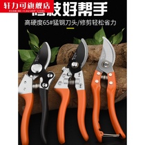 Pruning rose scissors pruning shears fruit tree manual Flower trimming scissors flower arrangement flower flower arrangement flower Flower oranges pruning pruning