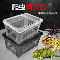 Reptile feeding box Turtle hibernation box Insulation box Lizard palace guard spider snake Dubia scorpion feeding box