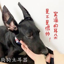 Demu dog ear correction standing ear ear ear distance bracket toDubin Alaska Datan ear patch special glue