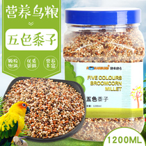  Parrot feed bird food bird food tiger skin Xuanfeng little sun feed mixed food bird feed five-color millet 1200ml