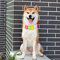 Day Style Farfight Kirchai Dogs Rainbow Sun Flowers Items Lap Dogs Kittens Small Flowers Neck Collar Necklace Ornaments