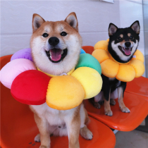 Sun flower Elizabeth ring Rainbow Neutered headgear Pet cat Shiba Inu Corgi Law bucket Shame ring Collar Neck ring