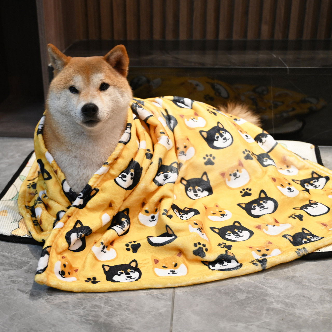 毯子柴犬精选和毯子柴犬品牌价格与图片-淘宝商品网