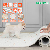 South Korea PVC can cut dog mat pet mat anti-skid anti-bite anti-urine water easy to clean dog climbing mat winter