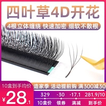 Four-leaf clover eyelash grafting soft hair 0 05 Clover Y Y Y eyelash 4D super soft not loose root beauty shop Special