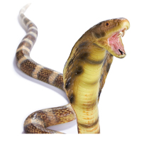 Recur simulation cobra model rattlesnake children wild animal soft glue scary trick snake toy boy