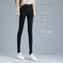 Lengthened trousers female high outside wearing underpants 175 spring autumn summer black high waist small feet overlong female pants