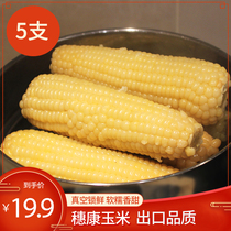 Suikang corn waxy corn Fresh freshly picked export products Sweet corn cob sticky corn Non-GMO white waxy 5