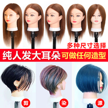 Full real hair apprentice dummy head New big ears hair cut hot dye Hair salon special model head real hair can be hot dyed