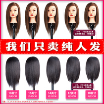 Hair head mold Full real hair dummy head model head doll head head mold apprentice real hair can be hot rolled dyed blow molding