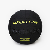 luxiaojun Lu Xiaojun fitness wall ball medicine ball gravity ball training ball elastic private teaching gadget New Product