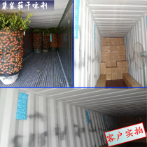 New 1000g with adhesive hook 4 container desiccant shipping export moisture-proof and mildew container dry strip dry