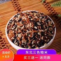 2020 Northeast three-color brown rice 500g farmhouse self-planted new brown rice low-fat fitness rice coarse grains whole grains japonica rice