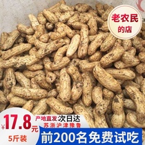 2021 fresh peanuts shelled wet peanuts are now dug from the farm bulk new goods pink skin can be eaten raw boiled