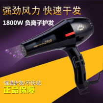 Professional hair salon 2800 electric hair dryer 1800W high power pet blowing