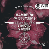 Black Diamond Ethiopia Hanbella Flower Qui 3 1G1 boutique hand-punched single coffee beans 100 227g