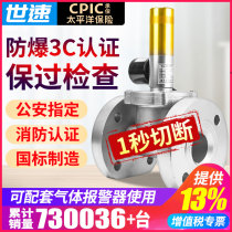 Industrial and commercial gas emergency cut-off solenoid valve normally open DN25 50 natural gas liquefied gas explosion-proof solenoid valve